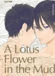 A LOTUS FLOWER IN THE MUD